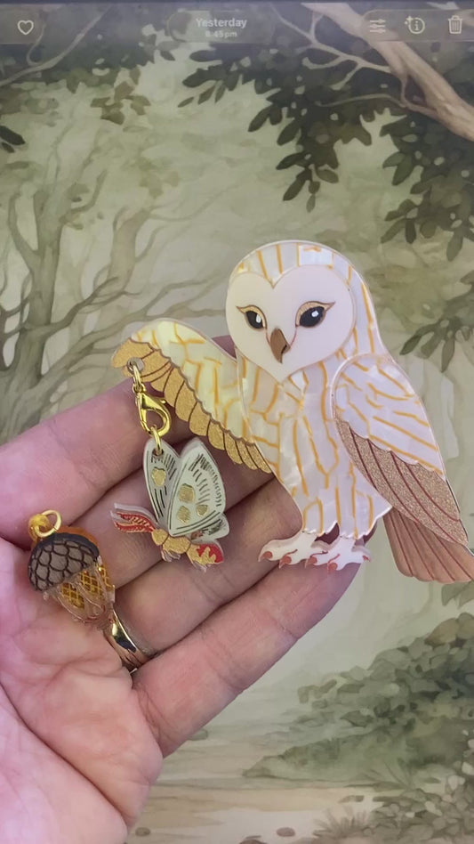 PRE ORDER  Interchangeable Owl Brooch